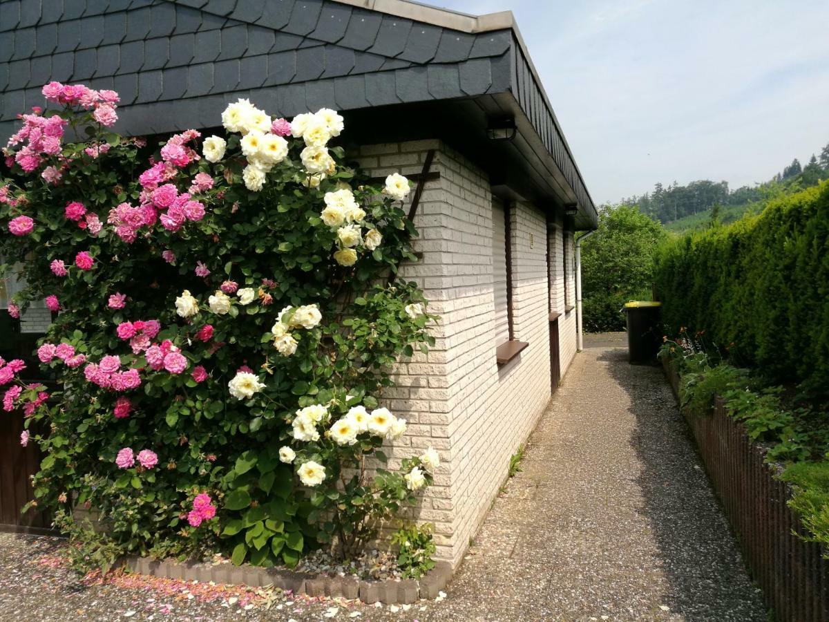 Ferienhaus Bianca Meschede Exterior foto